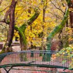 Γραφικό γεφυράκι μέσα σε δέντρα με κίτρινα φύλλα