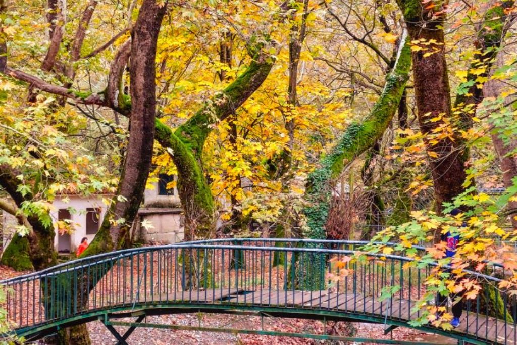 Γραφικό γεφυράκι μέσα σε δέντρα με κίτρινα φύλλα