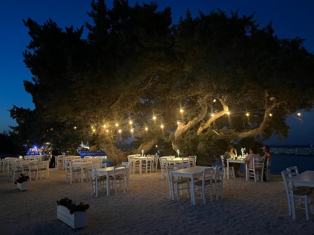 Τραπέζια και καρέκλες στην άμμο κάτω από ένα δέντρο με φωτάκια
