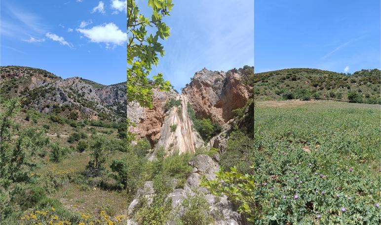 3 φωτογραφίες σε 1 που δείχνουν βουνά, βράχια και βλάστηση