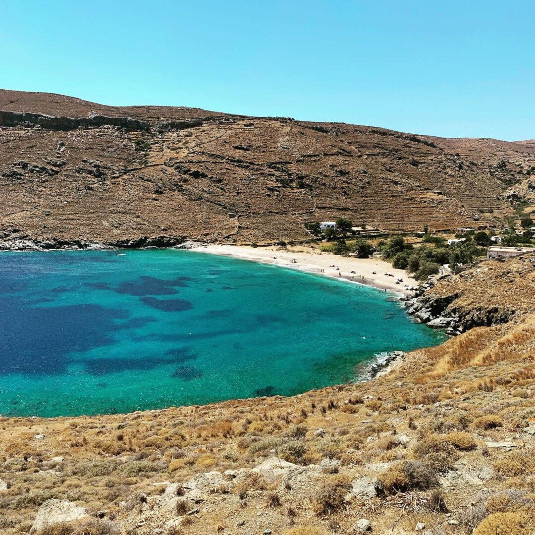 Παραλία με αρμυρίκια, άμμο και γαλαζοπράσινα νερά